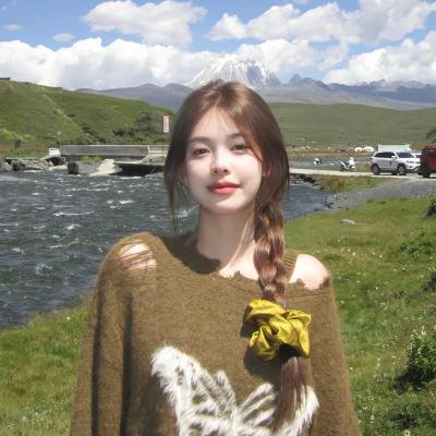 捍卫任务4 海报
